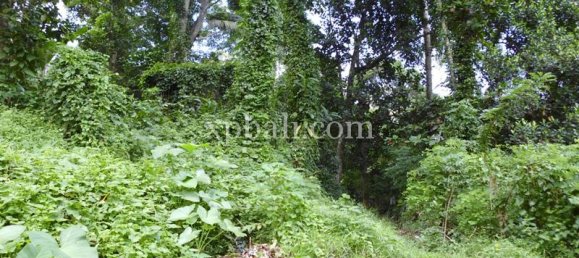 Grundstück in Ubud, Indonesia 15000m², Nr. 3856 15