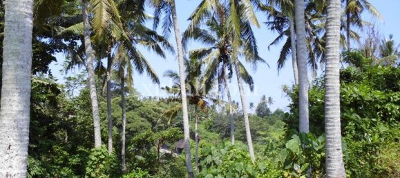 Grundstück in Ubud, Indonesia 15000m², Nr. 3856 14