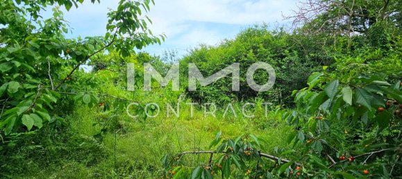 Land in Felixdorf, Austria No. 135748 9