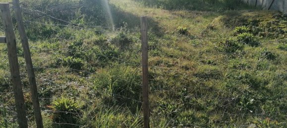 Grundstück in Castelo Branco, Portugal 400m², Nr. 89484 3