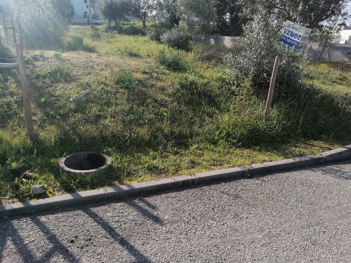 Grundstück in Castelo Branco, Portugal 400m², Nr. 89484