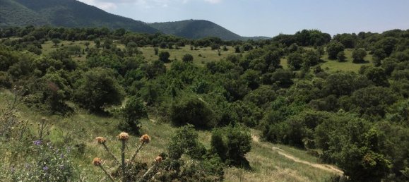 12100m² Hotel in Chortiatis, Greece No. 5582 4