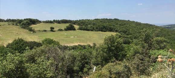 Отель, гостиница 12100м² в Chortiatis, Пилея-Хортиатис, Салоники, Центральная Македония, Македония и Фракия, Греция № 5582 3
