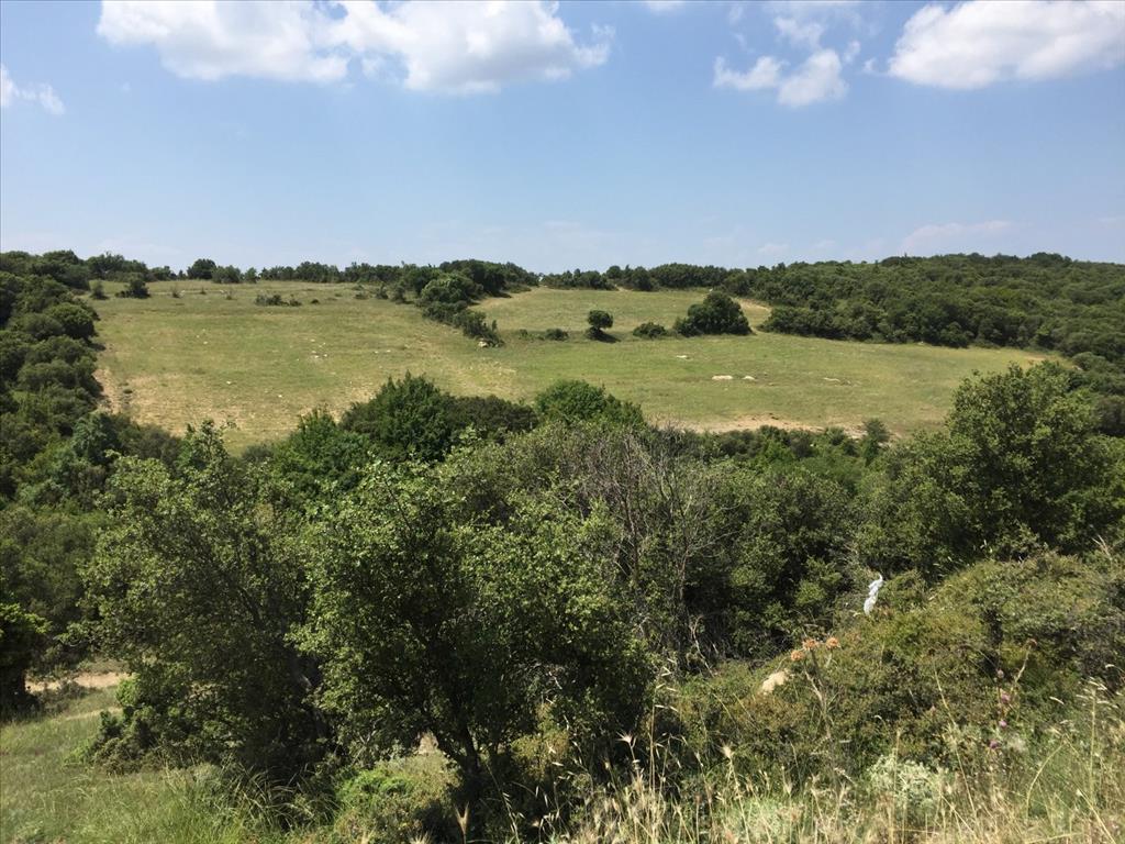 12100m² Hotel in Chortiatis, Greece No. 5582