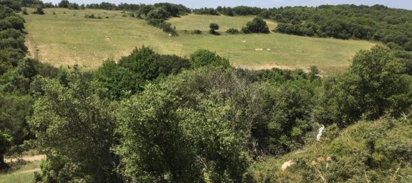 12100m² Hotel in Chortiatis, Greece No. 5582 5