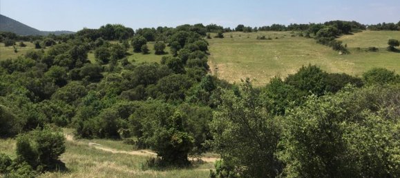 12100m² Hotel in Chortiatis, Greece No. 5582 2