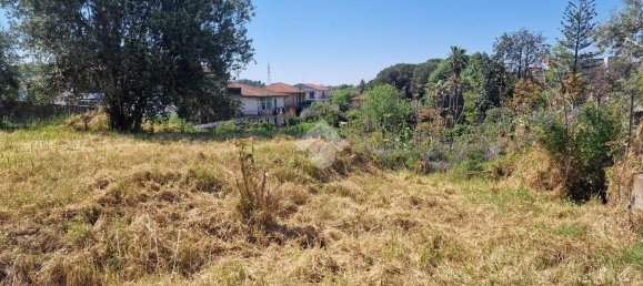 Grundstück in San Giovanni la Punta, Italy, Nr. 336229 27