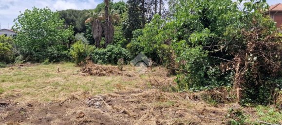 Grundstück in San Giovanni la Punta, Italy, Nr. 336229 11