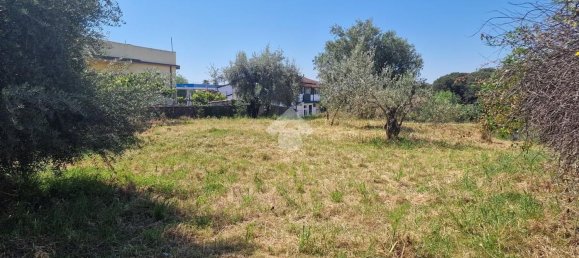 Grundstück in San Giovanni la Punta, Italy, Nr. 336229 33