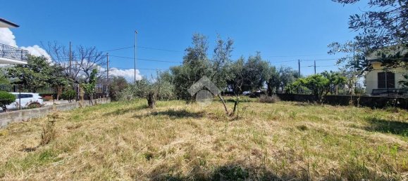 Grundstück in San Giovanni la Punta, Italy, Nr. 336229 29