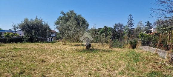 Grundstück in San Giovanni la Punta, Italy, Nr. 336229 46