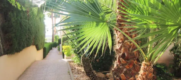 3 غرف نوم شقة في Torrevieja, Spain رقم 144571 34