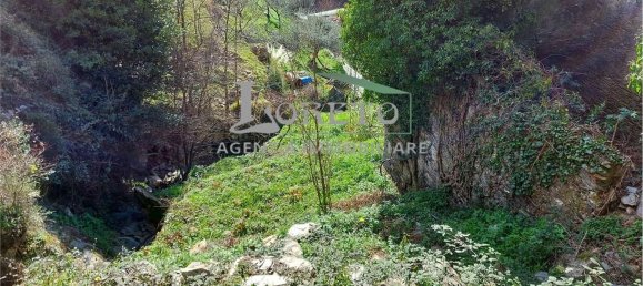 4غرفة منزل في Rapallo, Italy رقم 117255 4