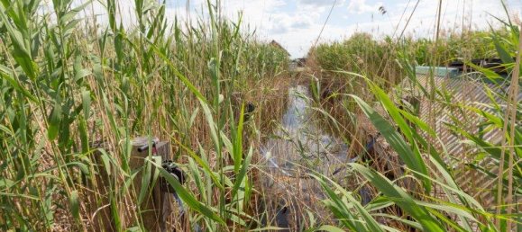 2 rooms House in Rust, Austria No. 156769 21