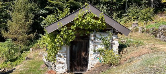 1 bedroom House in Schwarzenberg am Bohmerwald, Austria No. 230149 7