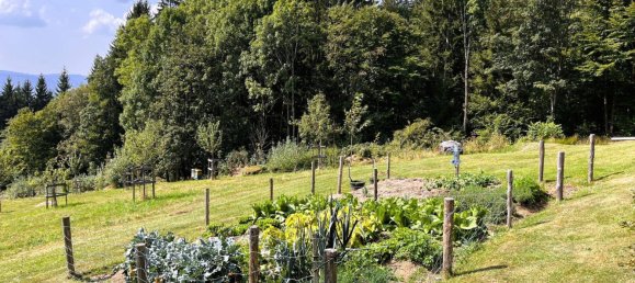 1 bedroom House in Schwarzenberg am Bohmerwald, Austria No. 230149 22