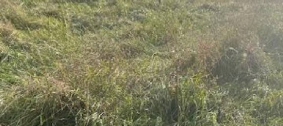 Grundstück in Moncel-sur-Seille, France 563m², Nr. 75074 6