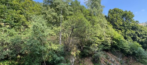 1 bedroom Apartment in Frabosa Sottana, Italy No. 335125 10