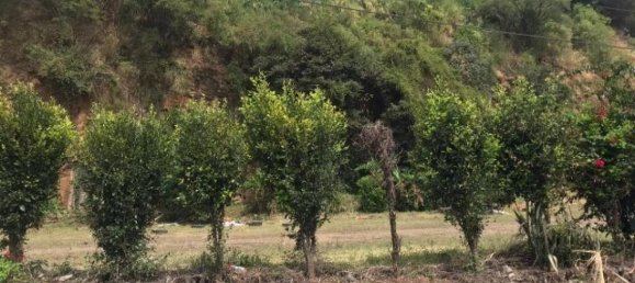 Terrain à San Jose, Costa Rica No. 1839 4