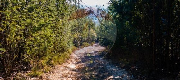 Земельный участок 12490м² в Санта Комба Дан, Португалия № 88099 4