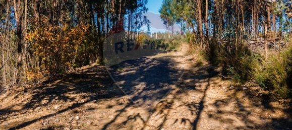 Земельный участок 12490м² в Санта Комба Дан, Португалия № 88099 2