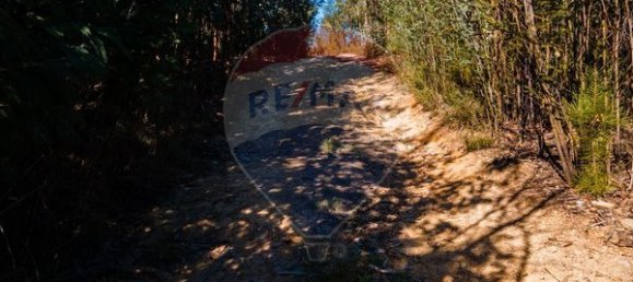 Земельный участок 12490м² в Санта Комба Дан, Португалия № 88099 10