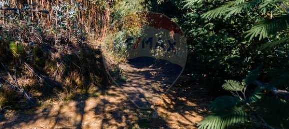 Земельный участок 12490м² в Санта Комба Дан, Португалия № 88099 5