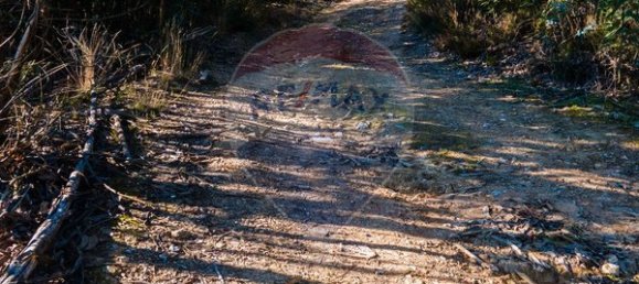 Земельный участок 12490м² в Санта Комба Дан, Португалия № 88099 15