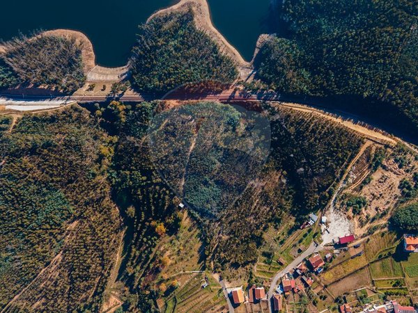 Земельный участок 12490м² в Санта Комба Дан, Португалия № 88099