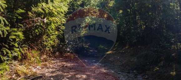 Земельный участок 12490м² в Санта Комба Дан, Португалия № 88099 7