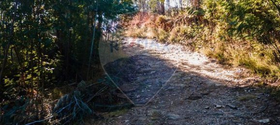 Земельный участок 12490м² в Санта Комба Дан, Португалия № 88099 17