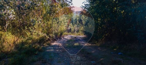 Земельный участок 12490м² в Санта Комба Дан, Португалия № 88099 6