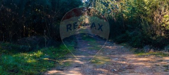 Земельный участок 12490м² в Санта Комба Дан, Португалия № 88099 14