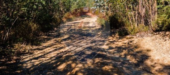 Земельный участок 12490м² в Санта Комба Дан, Португалия № 88099 18