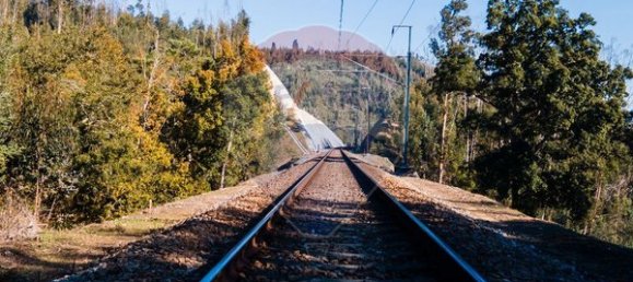 Земельный участок 12490м² в Санта Комба Дан, Португалия № 88099 3