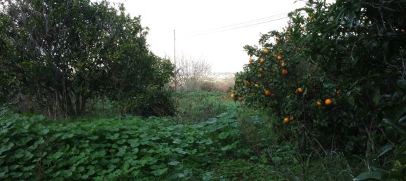 5 bedrooms Villa in Lagos, Portugal No. 17661 15