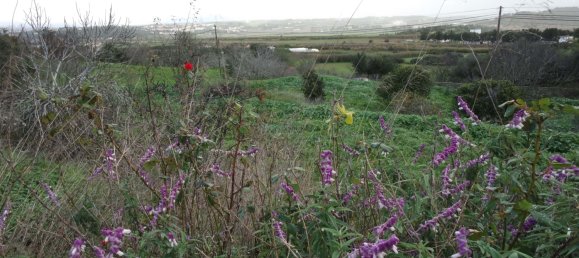 5 bedrooms Villa in Lagos, Portugal No. 17661 14