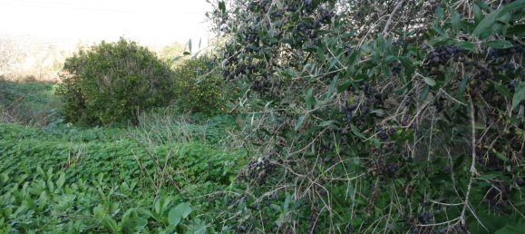 5 bedrooms Villa in Lagos, Portugal No. 17661 25