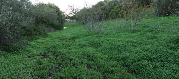 5 bedrooms Villa in Lagos, Portugal No. 17661 35