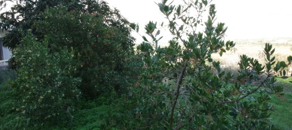 5 bedrooms Villa in Lagos, Portugal No. 17661 26