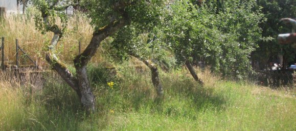 4 Schlafzimmer Stadthaus in Merzig-Wadern, Germany, Nr. 225448 5