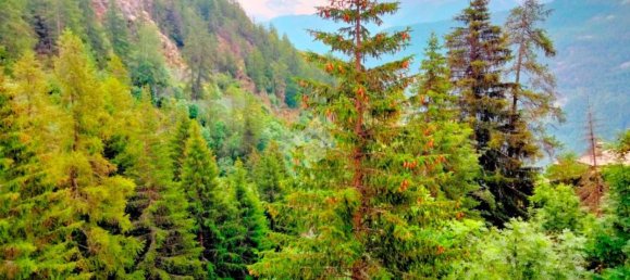 8 rooms House in Avise, Italy No. 69241 3