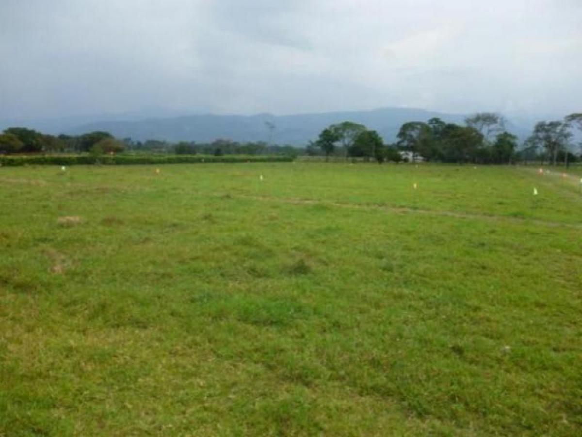 Studio in Cundinamarca, Colombia, Nr. 8753