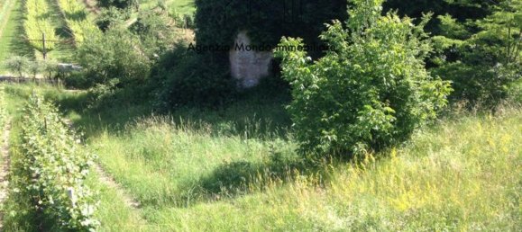 Casa de 6 habitaciónes en Madruzzo, Italy No. 76218 11
