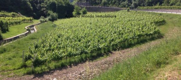 Casa de 6 habitaciónes en Madruzzo, Italy No. 76218 12