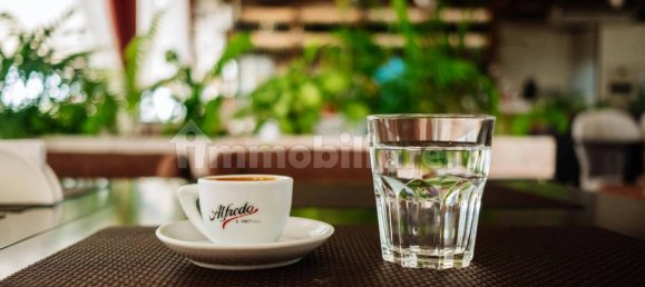 Propiedad comercial de 1 habitación en Lucca, Italy No. 298200 5