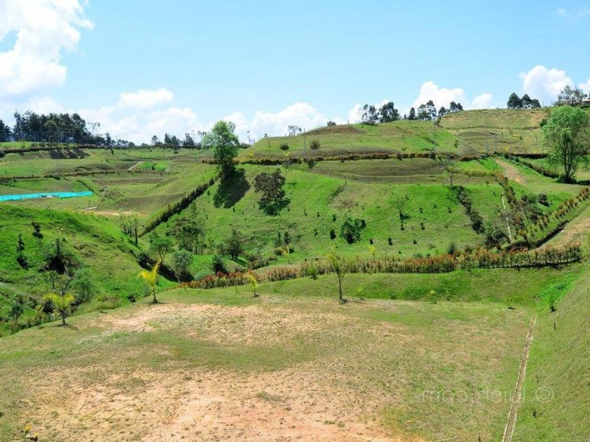  Land in Antioquia, Colombia No. 390