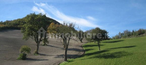 Дом с 8 спальнями в Пергола, Италия № 115033 9