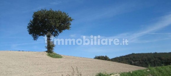 Дом с 8 спальнями в Пергола, Италия № 115033 10