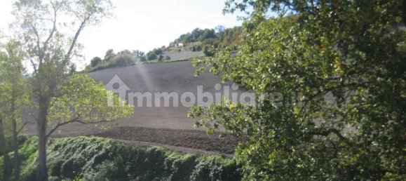 Дом с 8 спальнями в Пергола, Италия № 115033 7